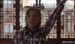 娱乐圈的吃瓜ren,揭秘明星幕后故事